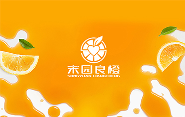 某良橙——沈阳LOGO设计
